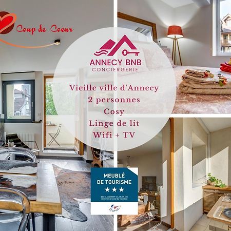Le Pura Vida, Hyper Centre Terrasse + Parking Apartment Annecy Luaran gambar